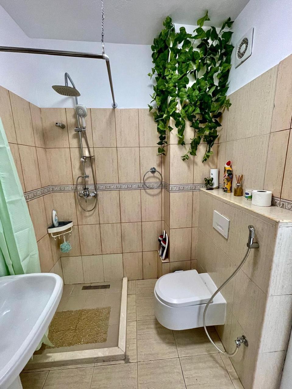 Flex Apartment Tirana Zewnętrze zdjęcie
