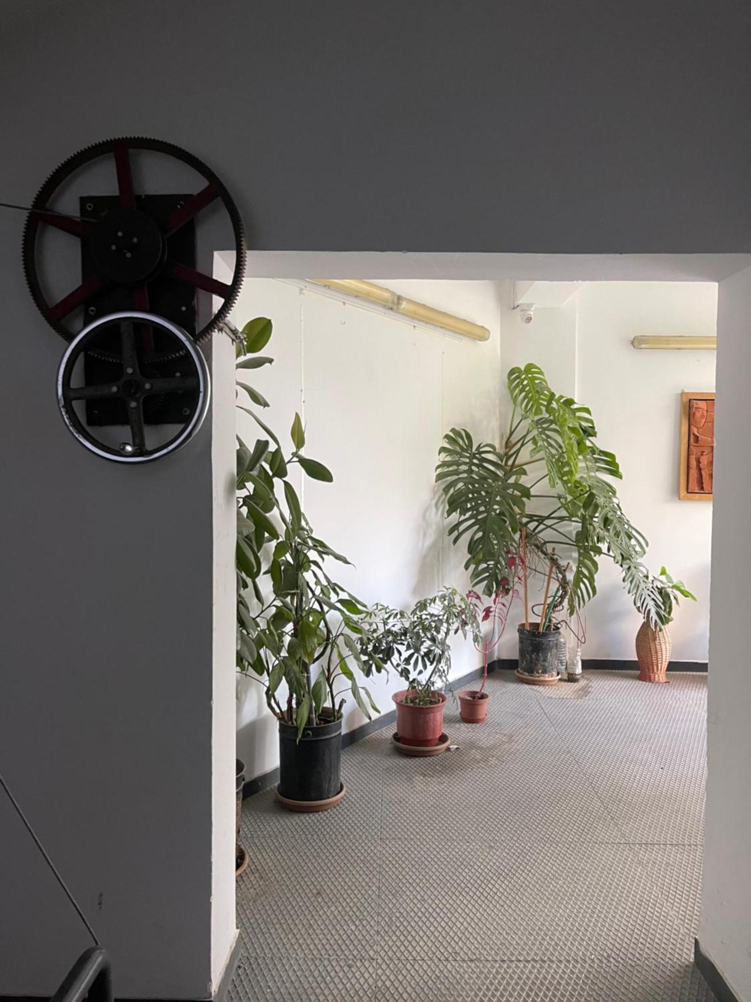 Flex Apartment Tirana Zewnętrze zdjęcie